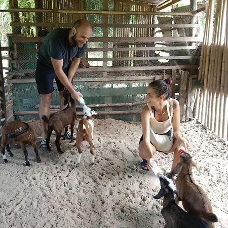 Yaoisland Resort And Farm Ko Yao Екстериор снимка