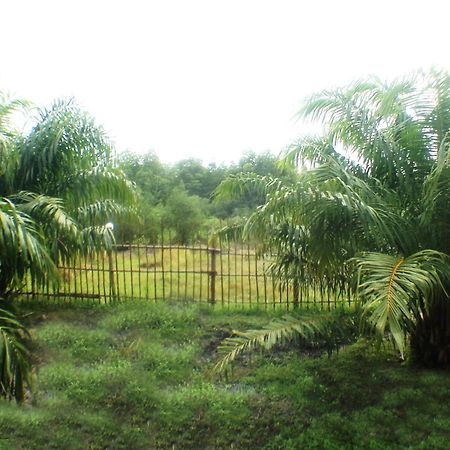 Yaoisland Resort And Farm Ko Yao Екстериор снимка