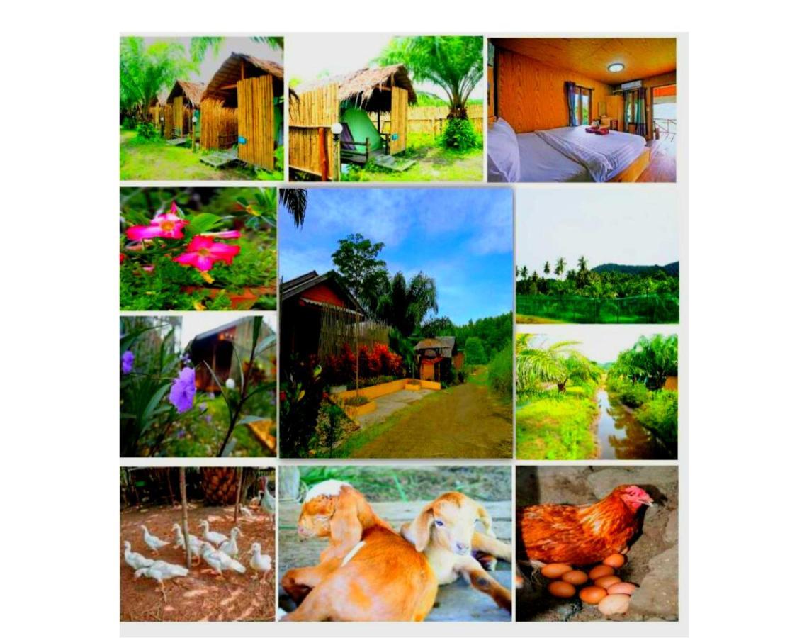 Yaoisland Resort And Farm Ko Yao Екстериор снимка
