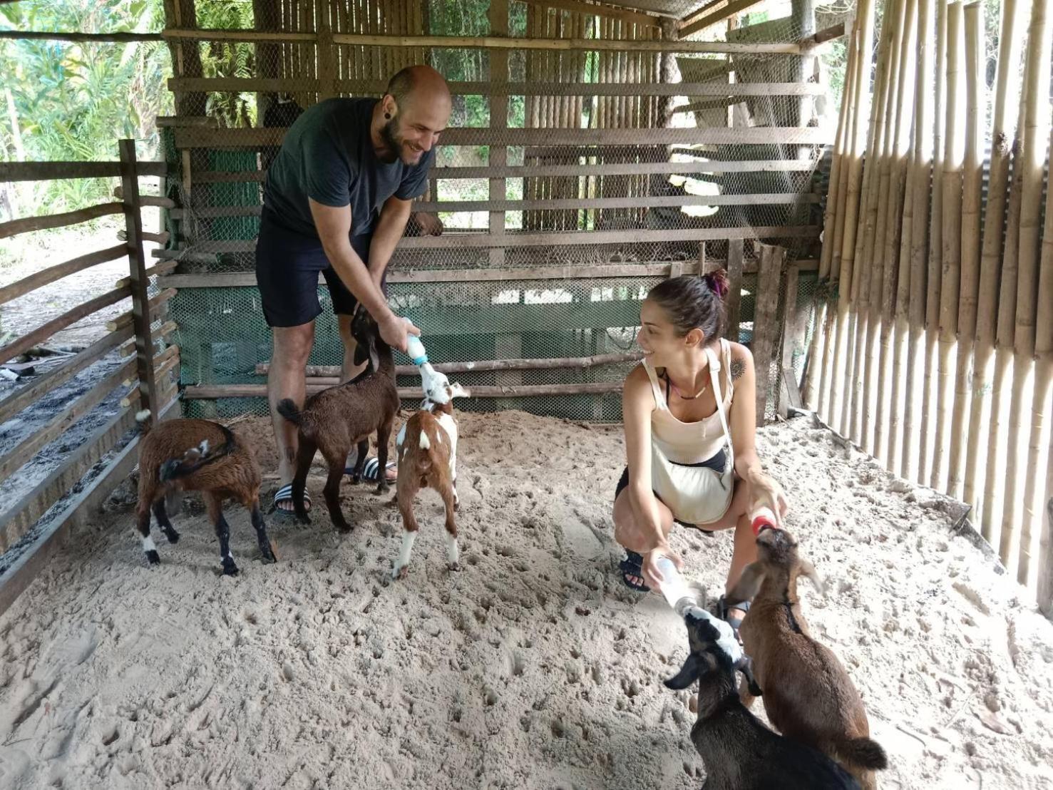 Yaoisland Resort And Farm Ko Yao Екстериор снимка