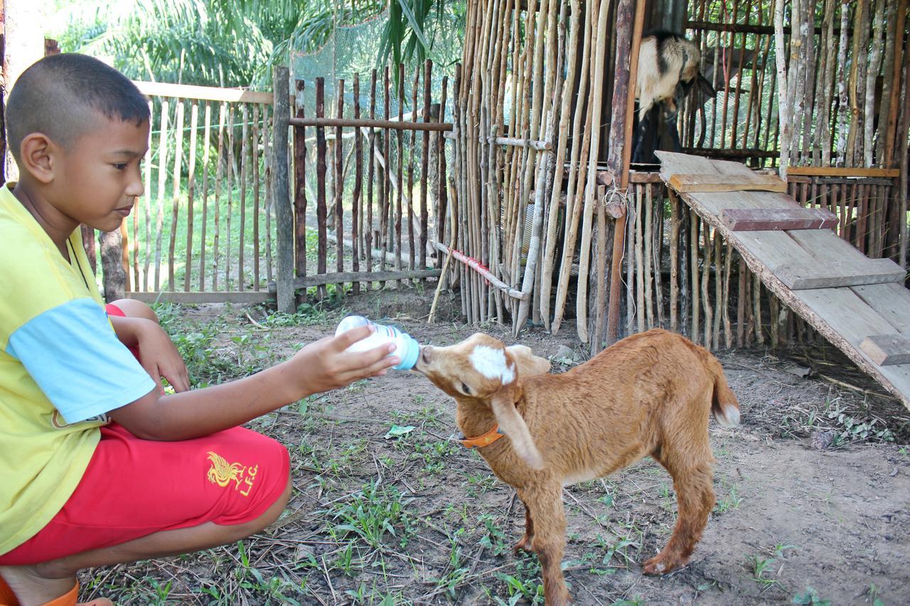 Yaoisland Resort And Farm Ko Yao Екстериор снимка