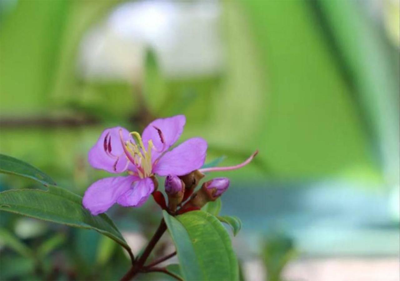 Yaoisland Resort And Farm Ko Yao Екстериор снимка